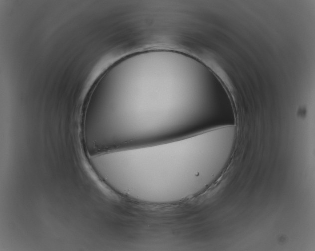 X0000093521005200710121124
