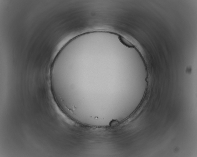 X0000093521006200710121124