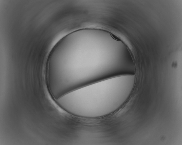 X0000093521007200710121124
