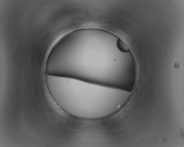 X0000093521008200710121124
