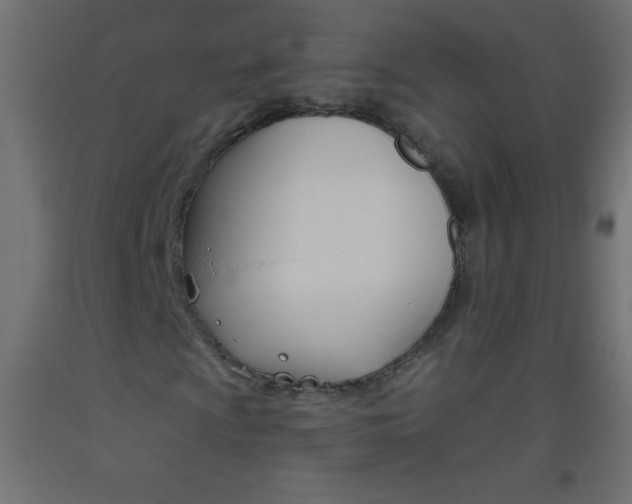 X0000093521009200710121123