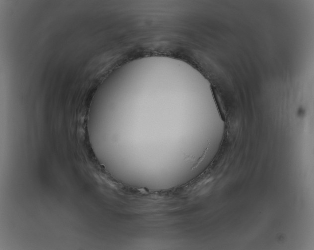 X0000093521010200710121123
