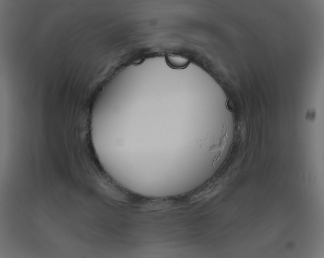 X0000093521012200710121123