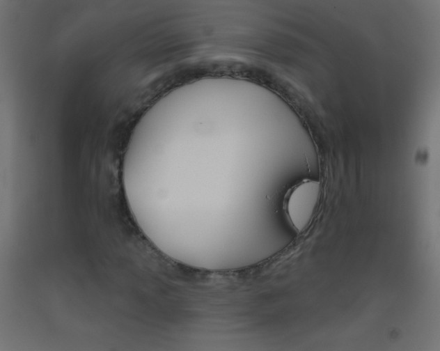 X0000093521013200710121123
