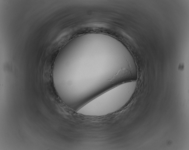 X0000093521014200710121123