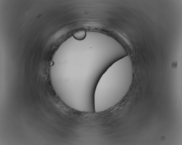 X0000093521015200710121123