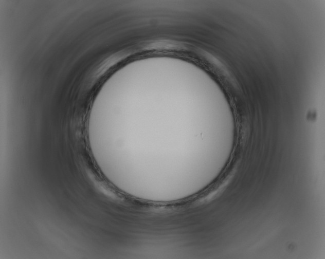 X0000093521017200710121123