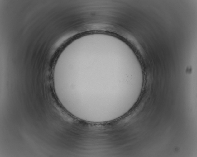 X0000093521019200710121123