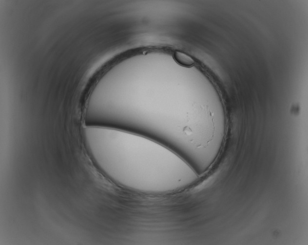 X0000093521021200710121123