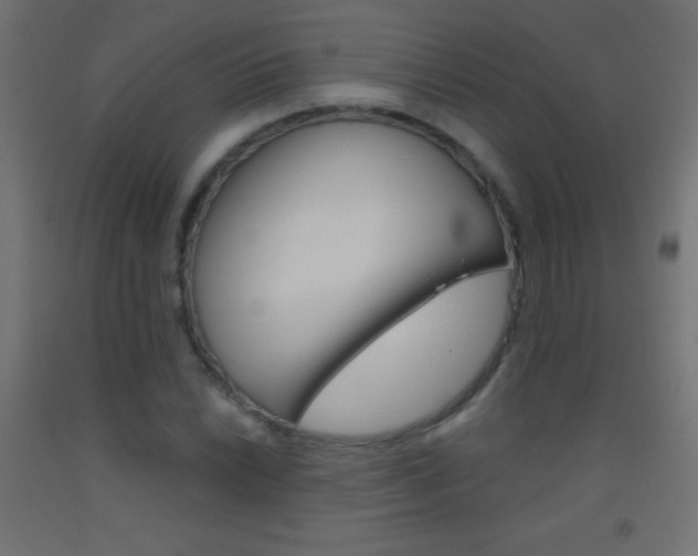 X0000093521022200710121123