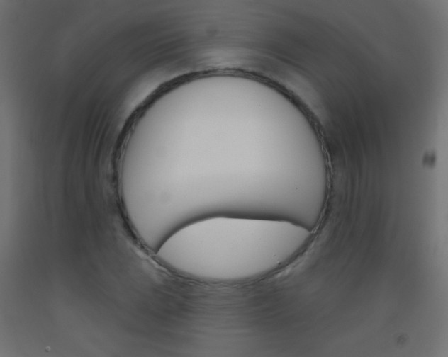 X0000093521023200710121123
