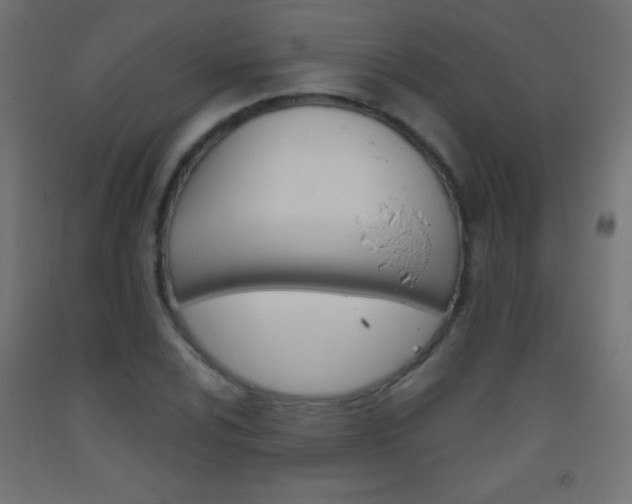 X0000093521024200710121123