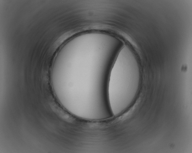 X0000093521025200710121123