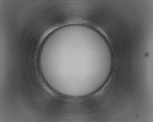 X0000093521026200710121123