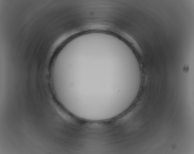 X0000093521027200710121123
