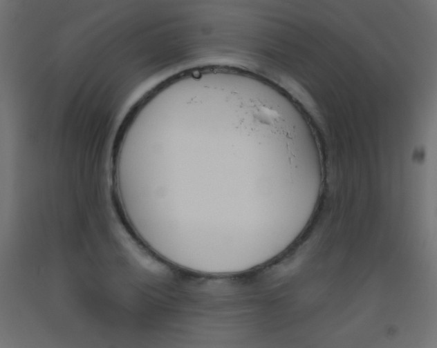 X0000093521028200710121123