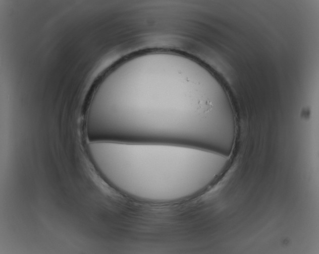 X0000093521029200710121123