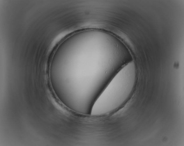 X0000093521030200710121123