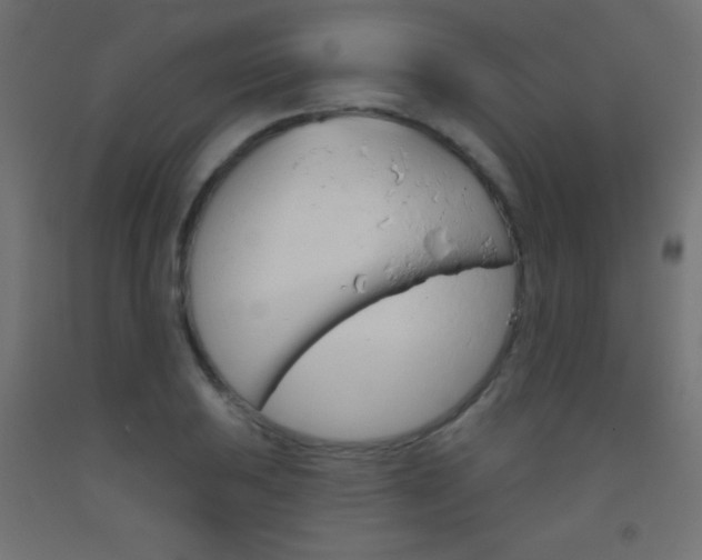 X0000093521031200710121123