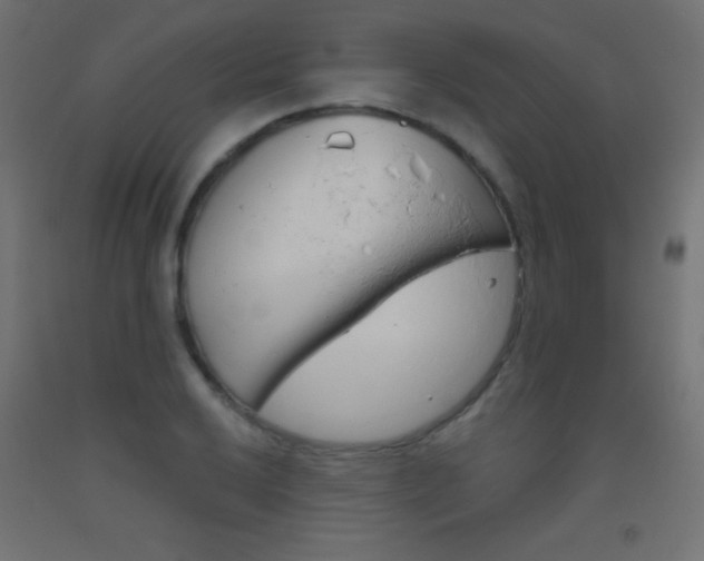 X0000093521032200710121123