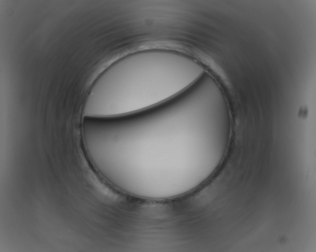 X0000093521033200710121123