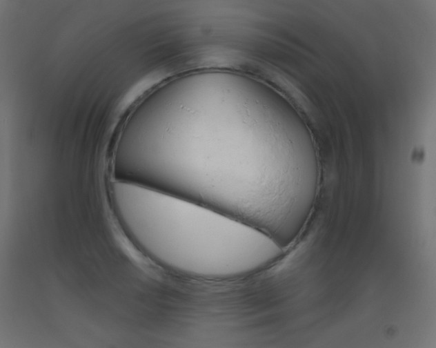 X0000093521034200710121123