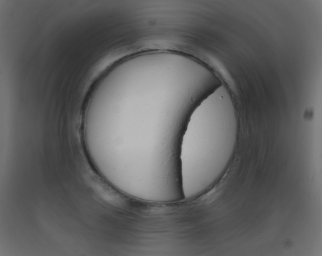 X0000093521035200710121123