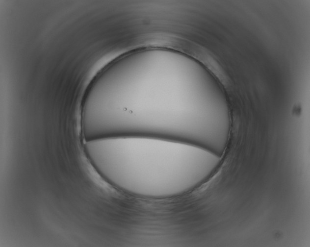 X0000093521036200710121123