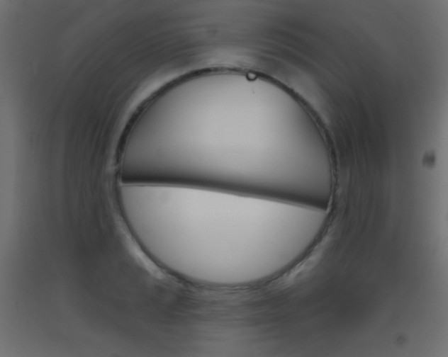 X0000093521037200710121123