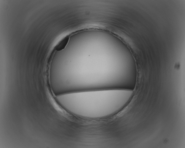 X0000093521038200710121123