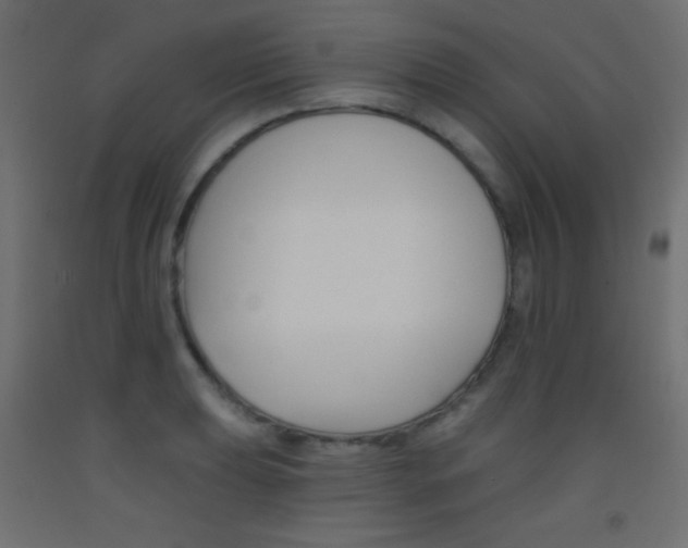 X0000093521039200710121124