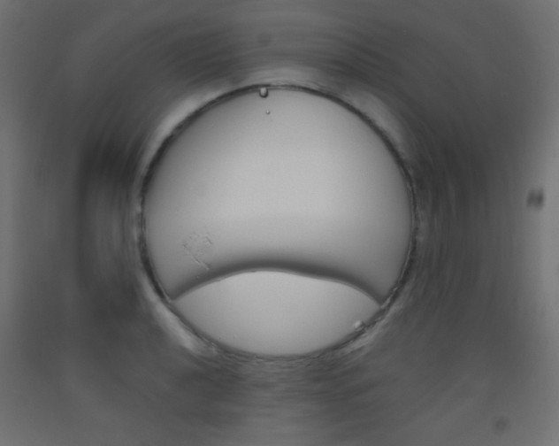 X0000093521040200710121124