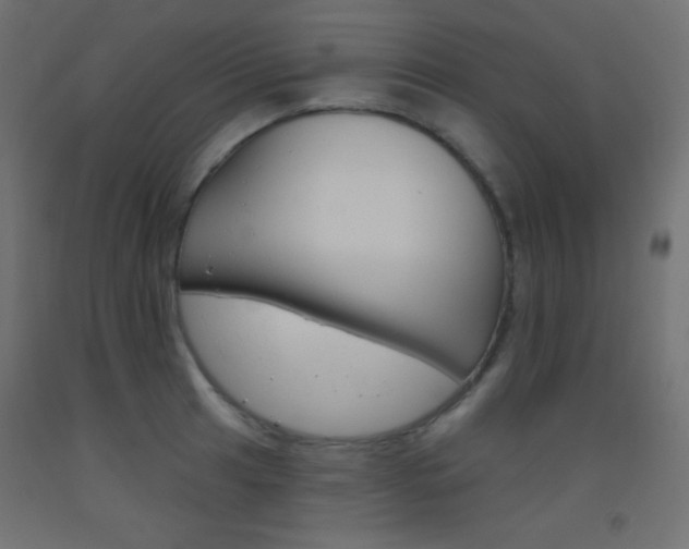 X0000093521041200710121124