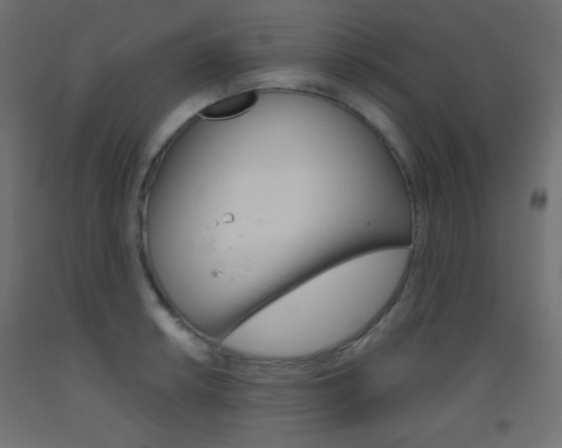 X0000093521042200710121124