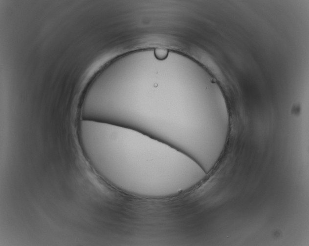 X0000093521043200710121124