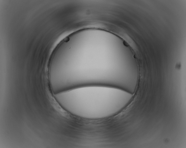 X0000093521044200710121124