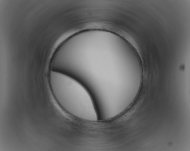 X0000093521045200710121124