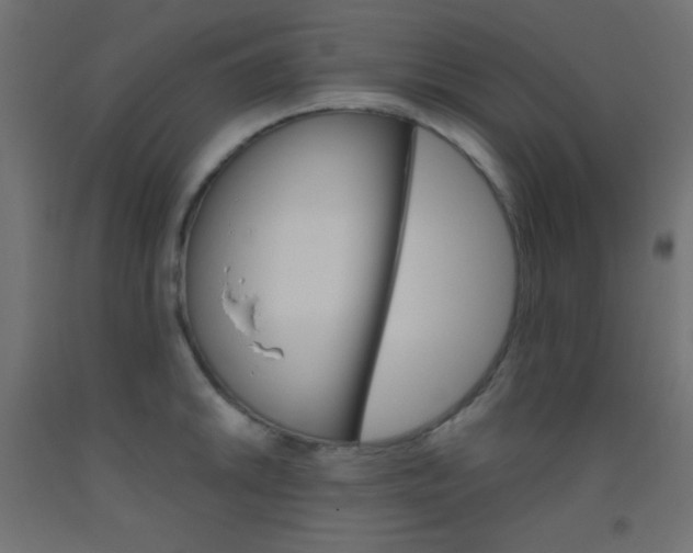 X0000093521046200710121124