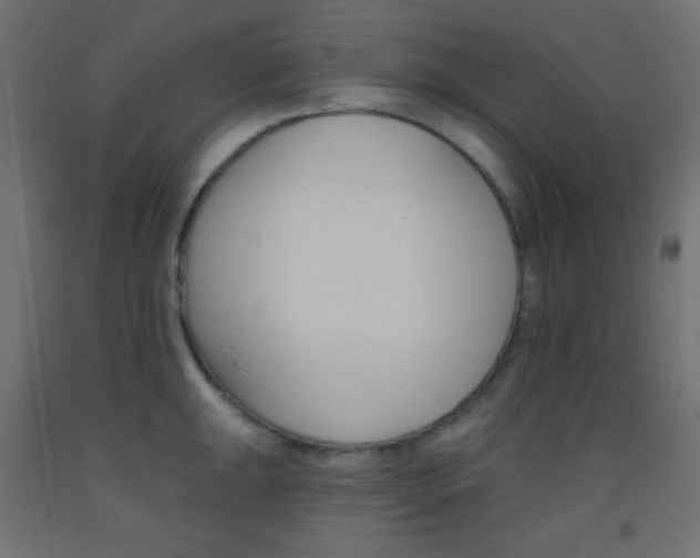 X0000093521047200710121124