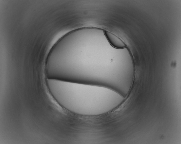 X0000093521048200710121124