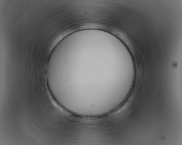 X0000093521049200710121124