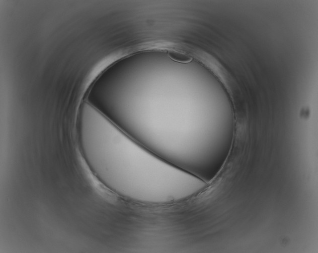 X0000093521050200710121124