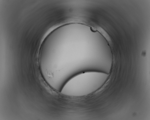 X0000093521052200710121124