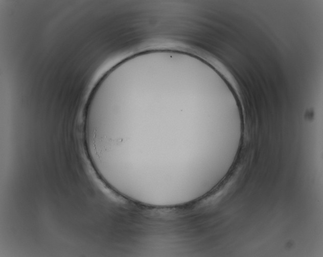 X0000093521053200710121124