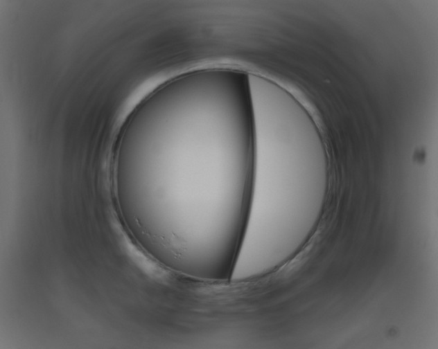 X0000093521054200710121124