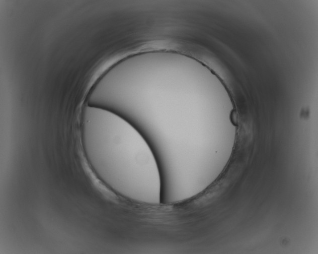 X0000093521055200710121124