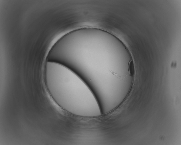 X0000093521056200710121124