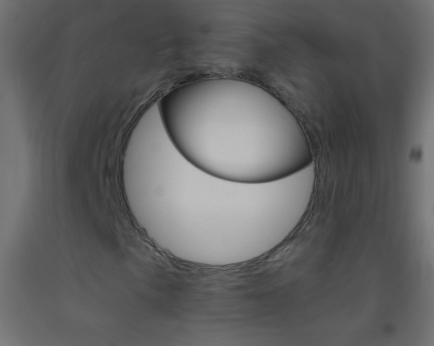 X0000093521057200710121123