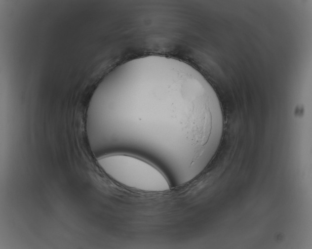 X0000093521058200710121123