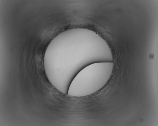 X0000093521059200710121123